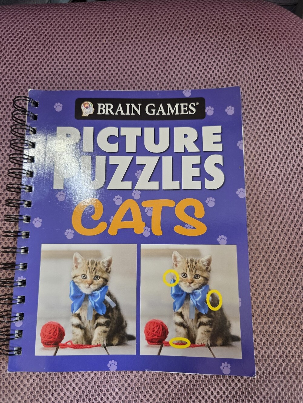 Hidden Pictures Cats